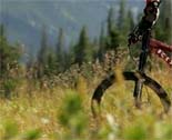 Bild: Radfahren in Bergwiesen